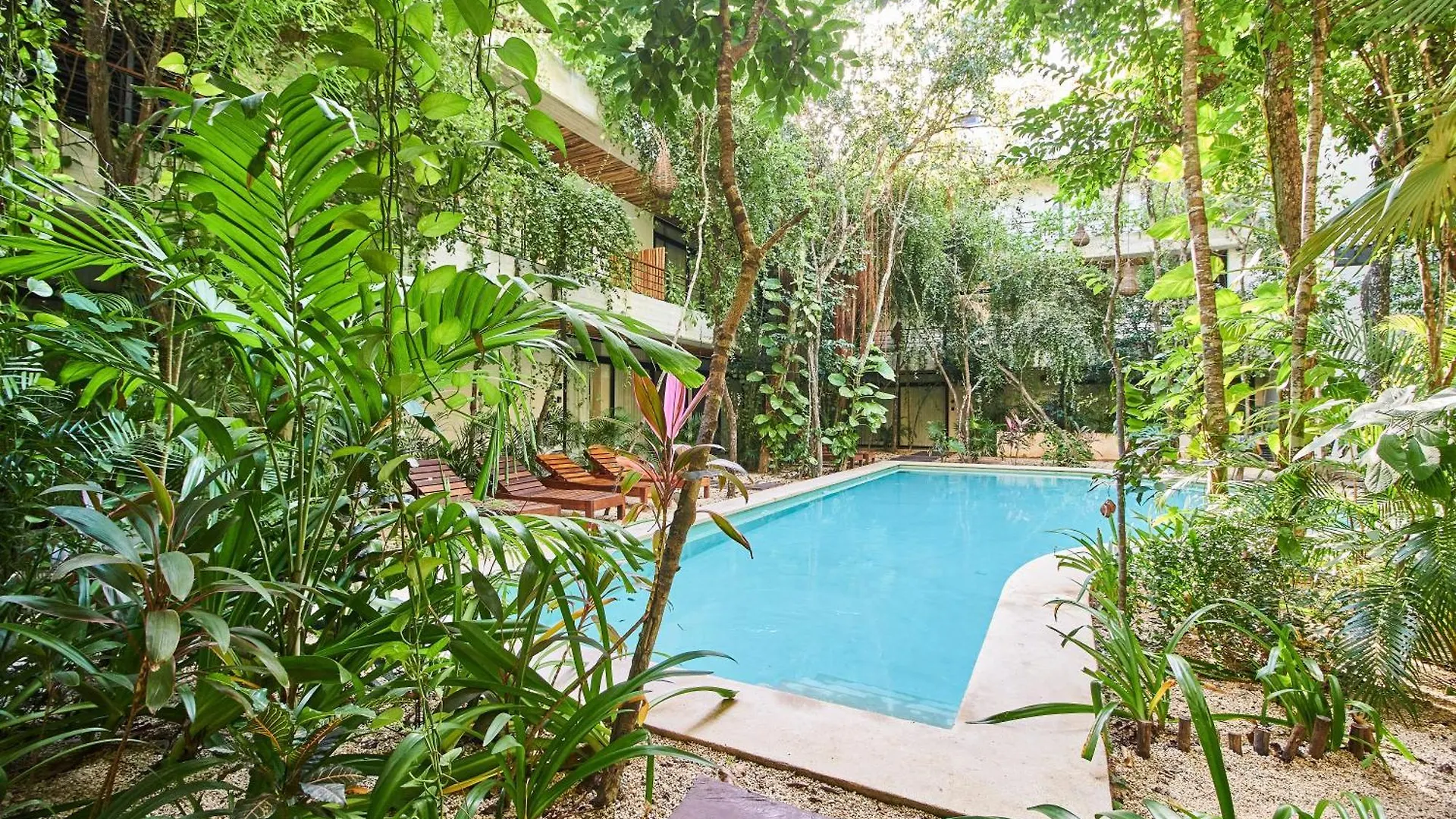 Jungle Penthouse With Private Rooftop Pool In La Veleta Tulum 0*,  Mexico
