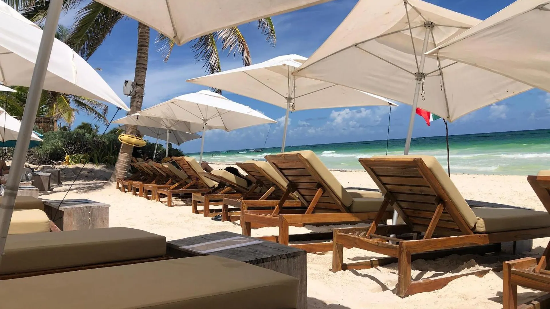 Apartment Jungle Penthouse With Private Rooftop Pool In La Veleta Tulum
