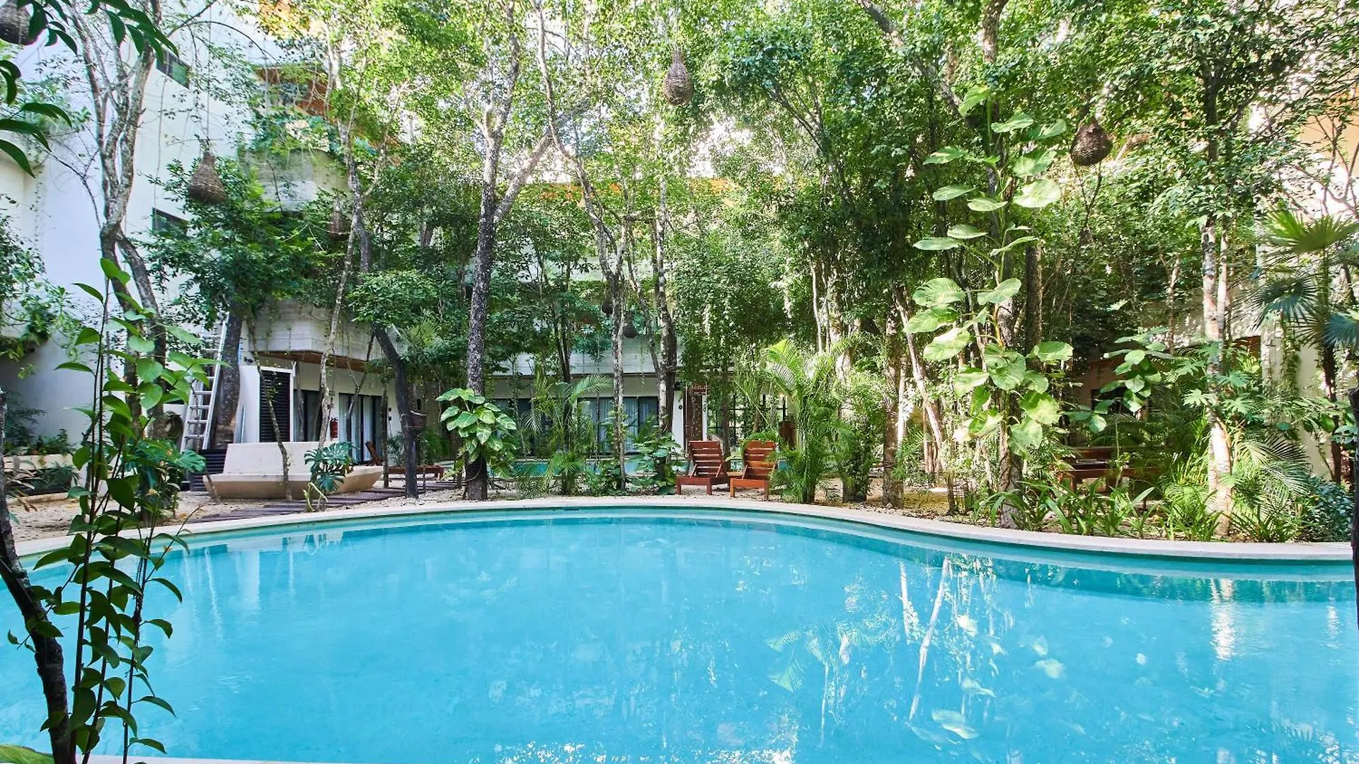 Jungle Penthouse With Private Rooftop Pool In La Veleta Tulum 0*,