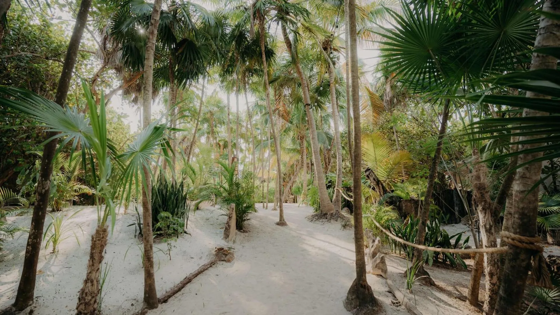 Apartment Jungle Penthouse With Private Rooftop Pool In La Veleta Tulum Mexico