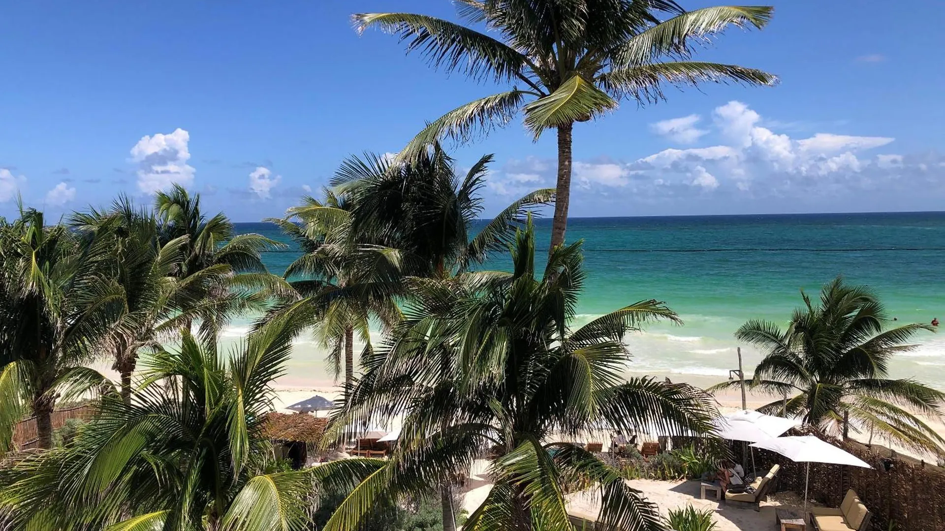Jungle Penthouse With Private Rooftop Pool In La Veleta Tulum Apartment