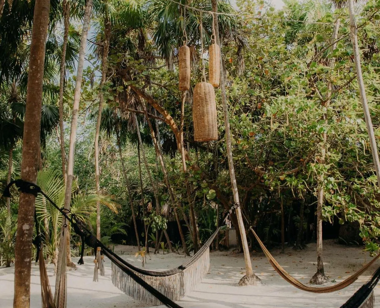 Apartment Jungle Penthouse With Private Rooftop Pool In La Veleta Tulum