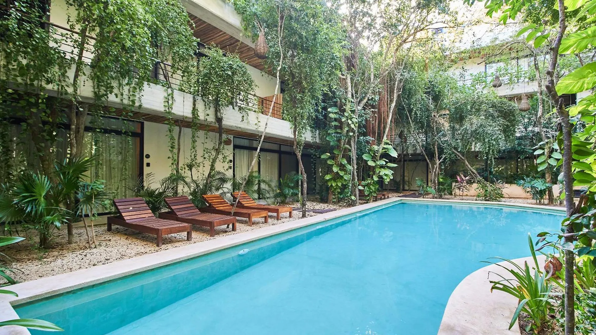 Apartment Jungle Penthouse With Private Rooftop Pool In La Veleta Tulum